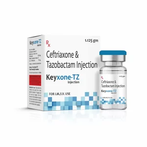 Keyxone- TZ 1.125