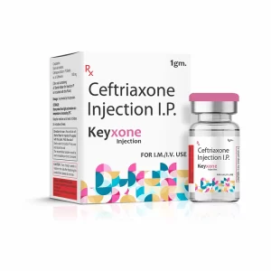 Keyxone 1 GM